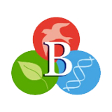 Logo Universidad de Sevilla